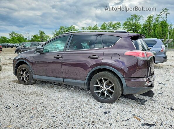 2T3JFREV1GW434803 2016 TOYOTA RAV4 Purple უკანა მარცხენა
