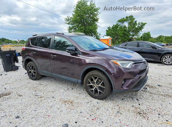 2T3JFREV1GW434803 2016 TOYOTA RAV4 Purple წინა მარჯვენა