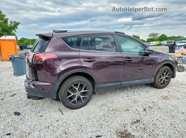 2T3JFREV1GW434803 2016 TOYOTA RAV4 Purple უკანა მარჯვენა