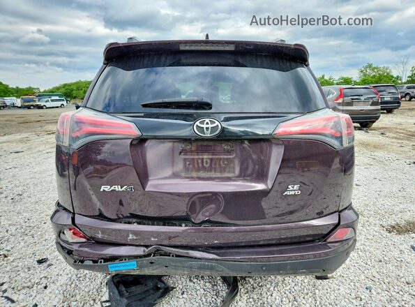 2T3JFREV1GW434803 2016 TOYOTA RAV4 Purple უკანა ხედი