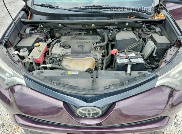 2T3JFREV1GW434803 2016 TOYOTA RAV4 Purple ძრავის განყოფილების ხედი