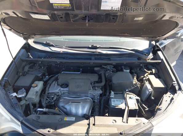 2T3JFREV1GW456087 2016 TOYOTA RAV4 Black Вид ззаду