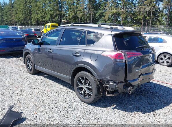 2T3JFREV5GW454312 2016 TOYOTA RAV4 Gray უკანა მარცხენა