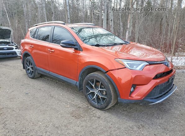 2T3JFREV9GW460985 2016 TOYOTA RAV4 Orange 