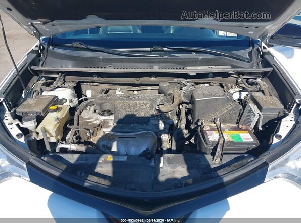 2T3JFREVXGW443984 2016 TOYOTA RAV4 White 