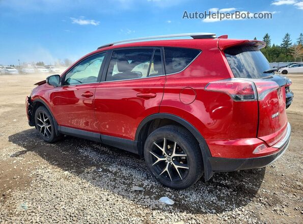 2T3JFREVXGW481375 2016 TOYOTA RAV4 Red Rear left