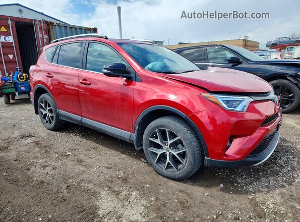 2T3JFREVXGW481375 2016 TOYOTA RAV4 Red Front right