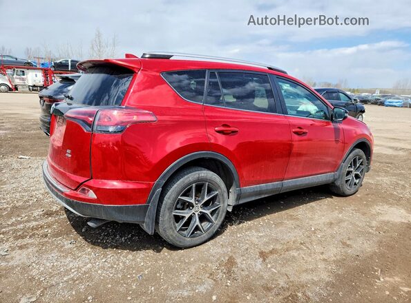 2T3JFREVXGW481375 2016 TOYOTA RAV4 Red Rear right