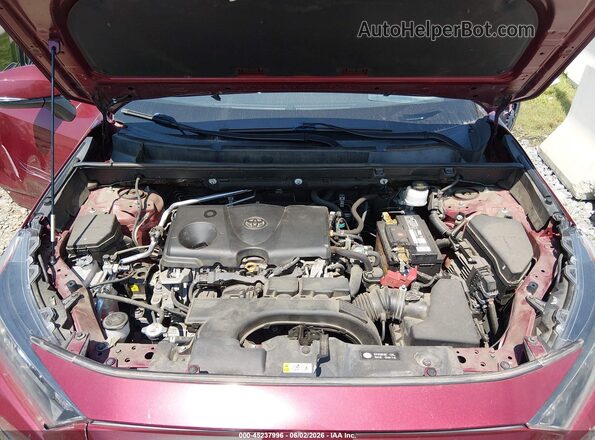 2T3K1RFV2LW070614 2020 TOYOTA RAV4 Maroon Widok z tyłu