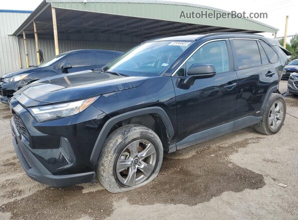 2T3LWRFV2RW222390 2024 TOYOTA RAV4 Black 