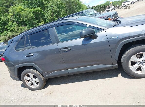 2T3LWRFV8KW039811 2019 TOYOTA RAV4 HYBRID Gray Սալոնի հետևի տեսք