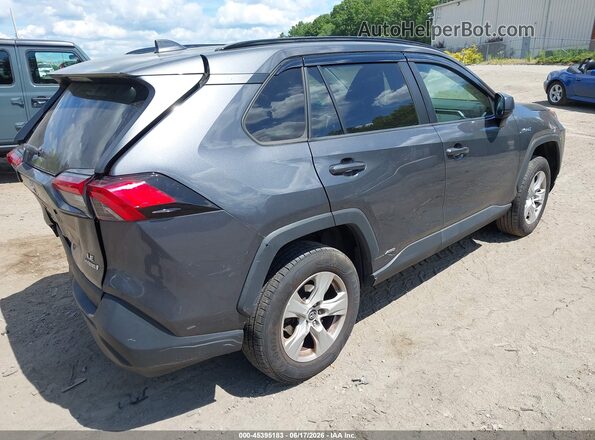 2T3LWRFV8KW039811 2019 TOYOTA RAV4 HYBRID Gray Հետևի աջ