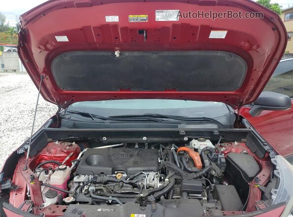 2T3LWRFVXKW009855 2019 TOYOTA RAV4 Red 