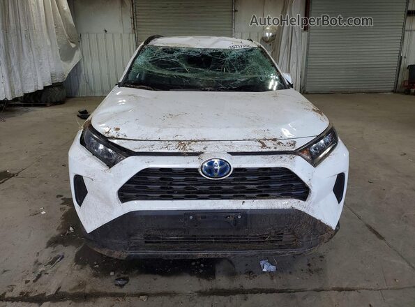 2T3MWRFV0KW029357 2019 TOYOTA RAV4 White 