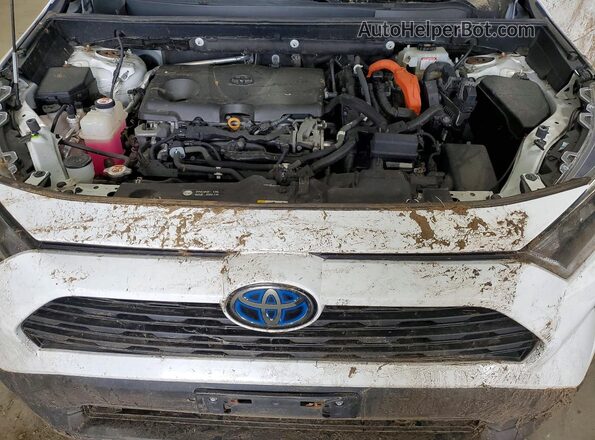 2T3MWRFV0KW029357 2019 TOYOTA RAV4 White 