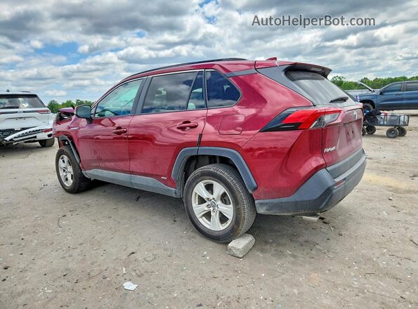 2T3MWRFV1LW065110 2020 TOYOTA RAV4 Red Հետևի ձախ
