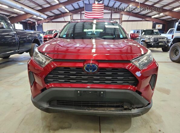 2T3MWRFV3KW039588 2019 TOYOTA RAV4 Red Դիմացի տեսք