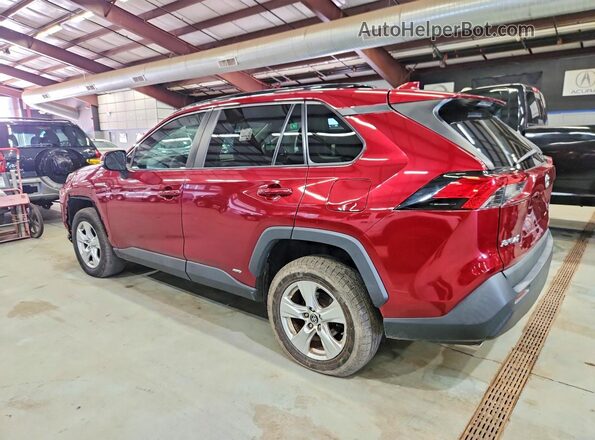 2T3MWRFV3KW039588 2019 TOYOTA RAV4 Red Հետևի ձախ