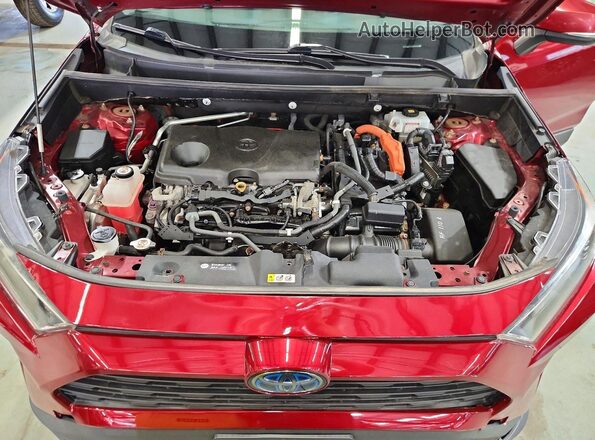 2T3MWRFV3KW039588 2019 TOYOTA RAV4 Red Շարժիչի բաժամունքի տեսք