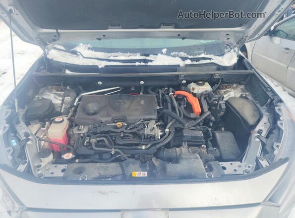2T3MWRFV4KW027952 2019 TOYOTA RAV4 Gray Vista interior trasera