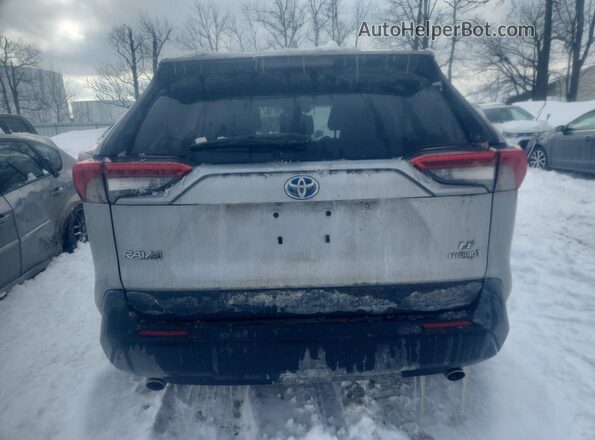 2T3MWRFV4KW027952 2019 TOYOTA RAV4 Gray Vista trasera