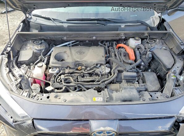 2T3MWRFVXRW212176 2024 TOYOTA RAV4 Серый 