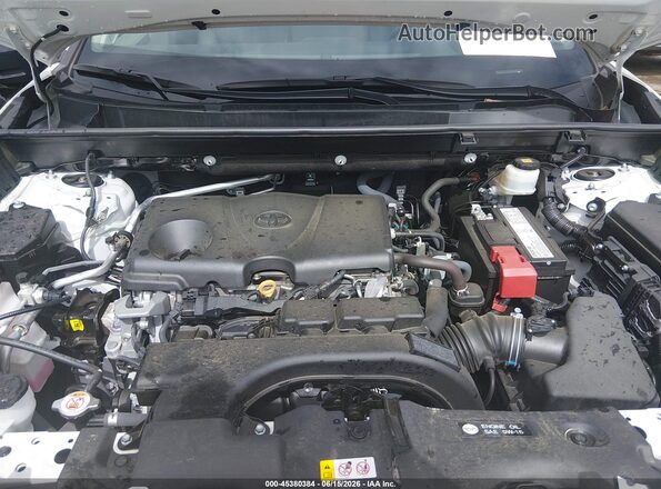 2T3N1RFV0KC013602 2019 TOYOTA RAV4 White Widok z tyłu