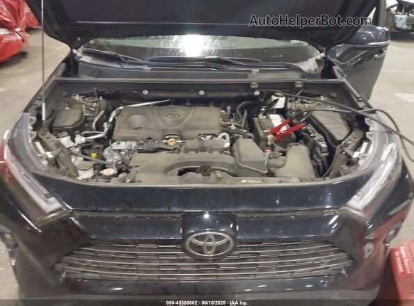 2T3N1RFV2PC329235 2023 TOYOTA RAV4 Black Вид ззаду