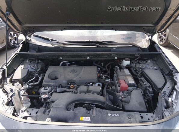 2T3P1RFV0PC356863 2023 TOYOTA RAV4 Gray უკანა ხედი