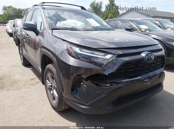 2T3P1RFV0PC356863 2023 TOYOTA RAV4 Gray წინა ხედი
