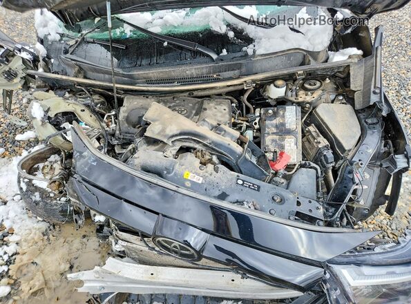 2T3P1RFV0PW379073 2023 TOYOTA RAV4 Black 