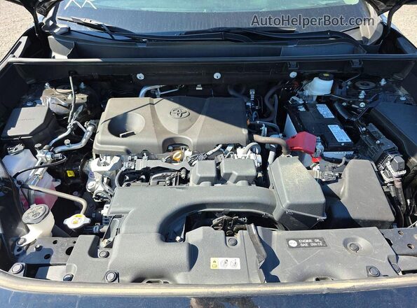 2T3P1RFV1PW337284 2023 TOYOTA RAV4 Black VIN կոդի պիտակի տեսք