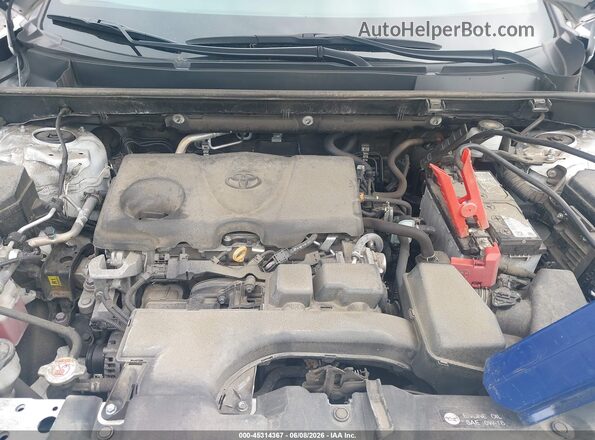 2T3P1RFV1RC418161 2024 TOYOTA RAV4 White Widok z tyłu