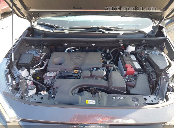 2T3P1RFV1RC489098 2024 TOYOTA RAV4 Gray Հետևի տեսք