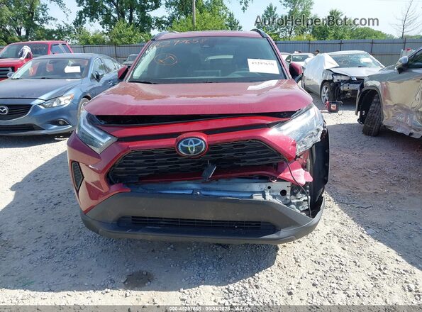 2T3P1RFV1RW429790 2024 TOYOTA RAV4 Maroon Դիմացի տեսք