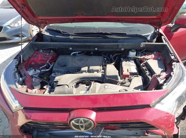2T3P1RFV1RW429790 2024 TOYOTA RAV4 Maroon Հետևի տեսք