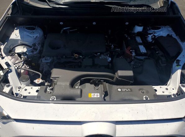 2T3P1RFV1SW566718 2025 TOYOTA RAV4 Белый Вид задней части салона