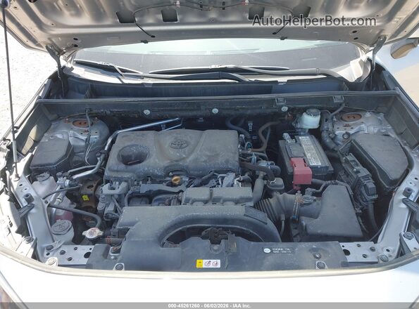 2T3P1RFV2KW053817 2019 TOYOTA RAV4 Silver Widok z tyłu