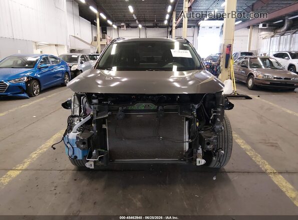 2T3P1RFV3MC249172 2021 TOYOTA RAV4 Gray Вид задньої частини салону