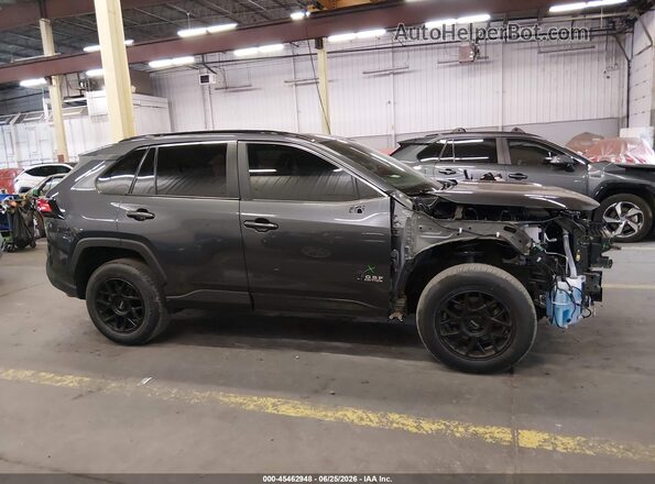 2T3P1RFV3MC249172 2021 TOYOTA RAV4 Gray Панорамний вид салону 360°