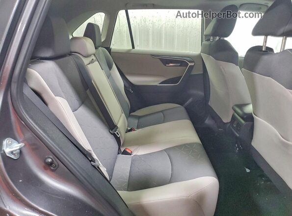 2T3P1RFV3RW455419 2024 TOYOTA RAV4 Gray Սալոնի հետևի տեսք