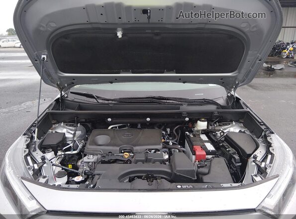 2T3P1RFV3SW518198 2025 TOYOTA RAV4 Gray Widok z tyłu