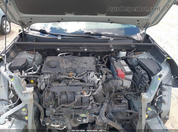 2T3P1RFV4LW116417 2020 TOYOTA RAV4 Pewter უკანა ხედი
