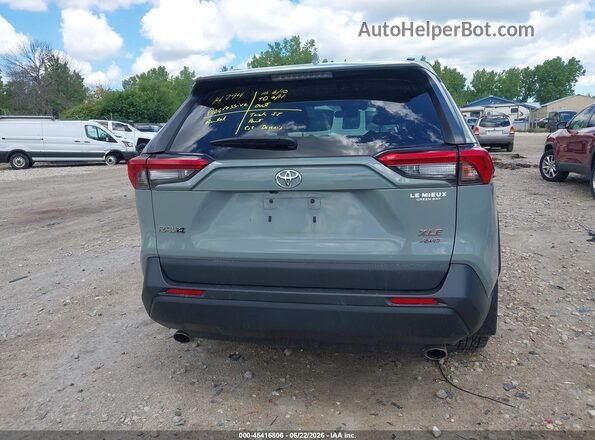 2T3P1RFV4LW116417 2020 TOYOTA RAV4 Pewter 