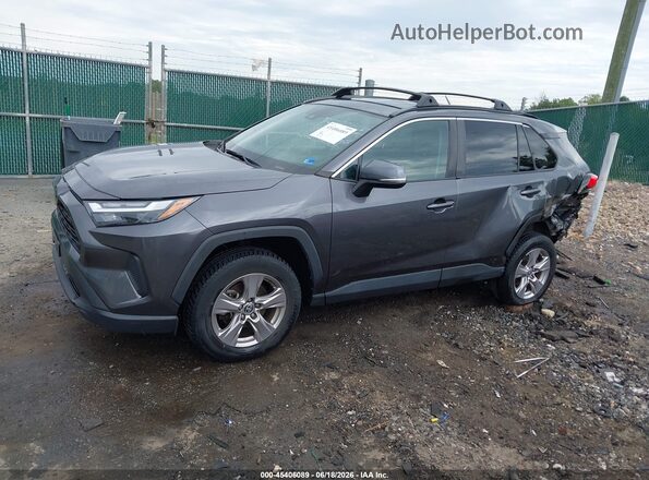 2T3P1RFV4PC345056 2023 TOYOTA RAV4 Gray 