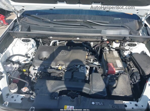 2T3P1RFV5PC334793 2023 TOYOTA RAV4 White Հետևի տեսք
