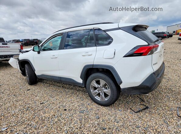 2T3P1RFV5RW431431 2024 TOYOTA RAV4 White უკანა მარცხენა