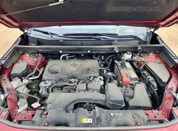 2T3P1RFV5RW459701 2024 TOYOTA RAV4 Burgundy Widok wnętrza z tyłu