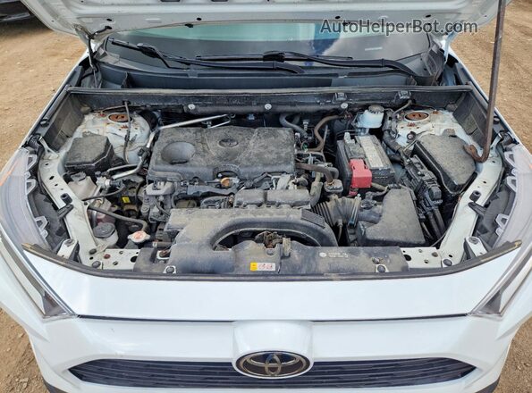 2T3P1RFV6KC026914 2019 TOYOTA RAV4 White 