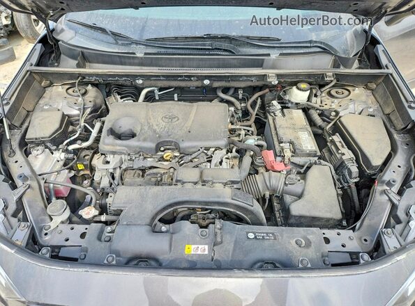 2T3P1RFV6MC213556 2021 TOYOTA RAV4 Gray 